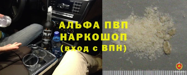 СК Абинск
