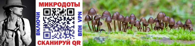 Псилоцибиновые грибы GOLDEN TEACHER  Торопец 